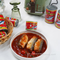 3-5 Stk. Dosen Makrele in Tomatensauce 155g